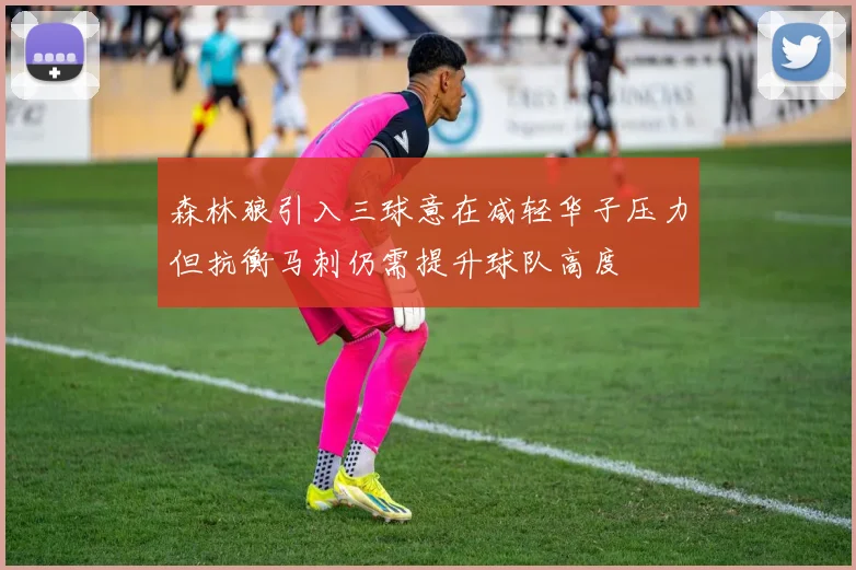 森林狼引入三球意在减轻华子压力但抗衡马刺仍需提升球队高度