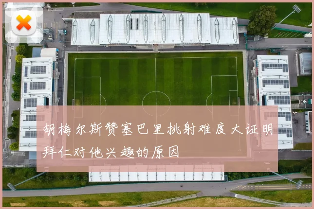 胡梅尔斯赞塞巴里挑射难度大证明拜仁对他兴趣的原因